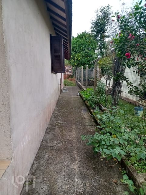 Image 5 - 248862